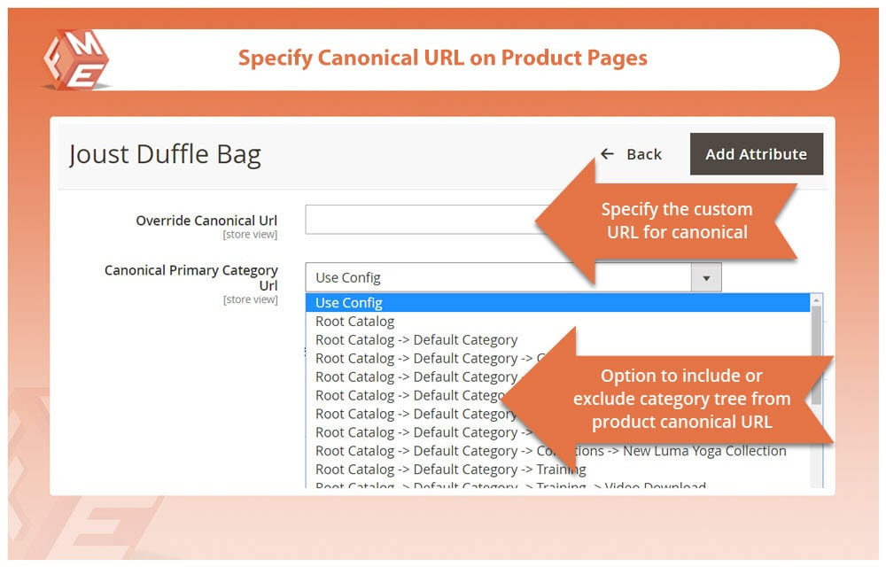 Configure Canonical URL For Products