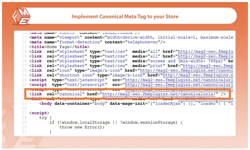 Canonical Tag Example