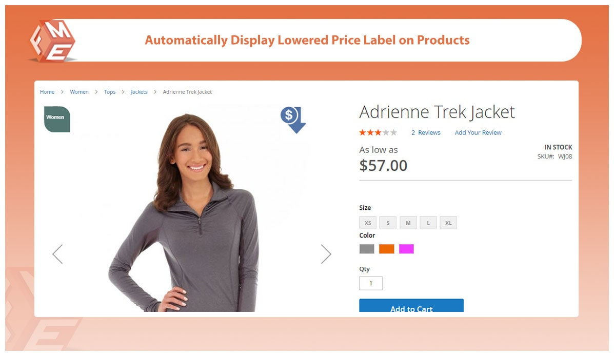 Magento 2 Low Price Labels
