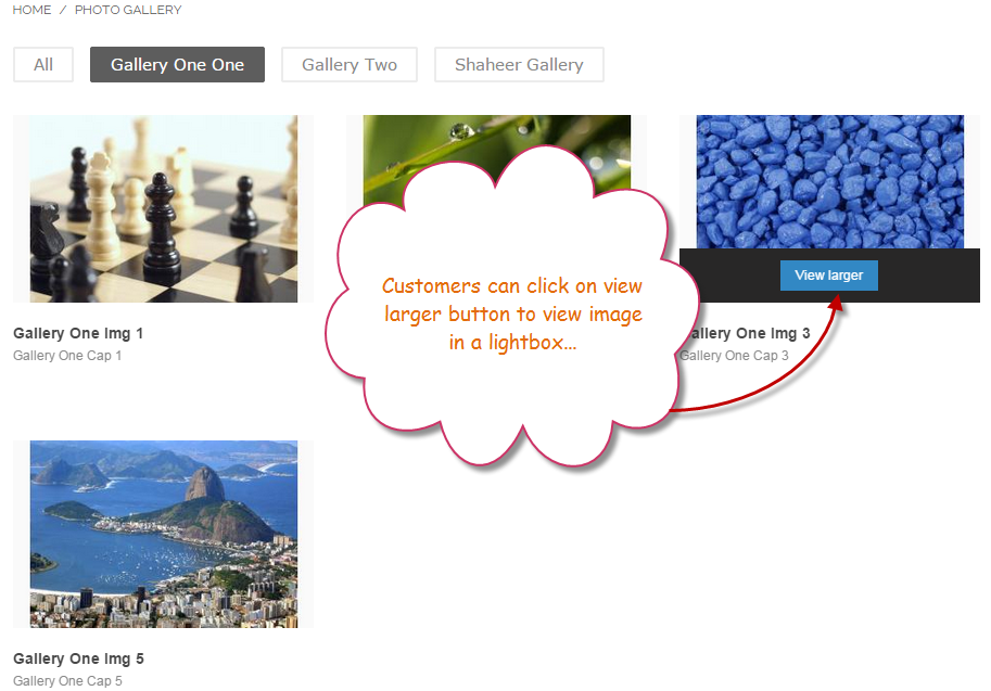 Magento Photo Gallery & Product Gallery