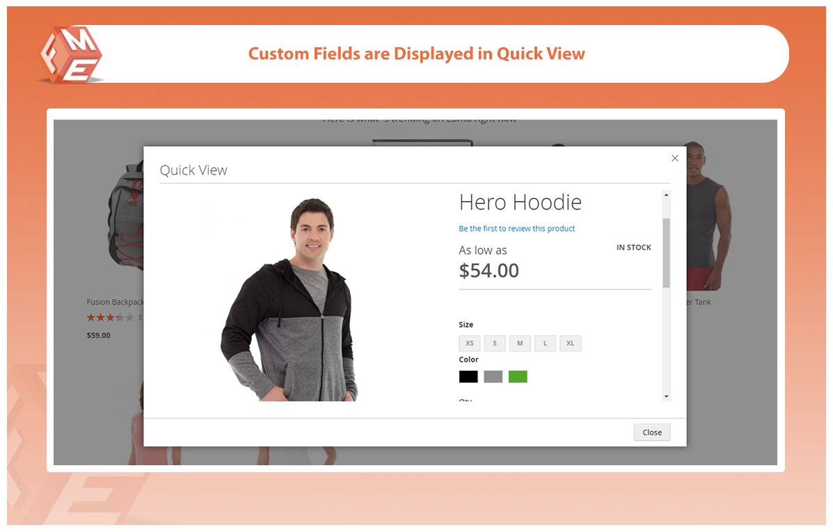 Display Custom Fields in Quick View 